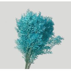 Wild Ruscus Estabilizado Turquesa 70cm