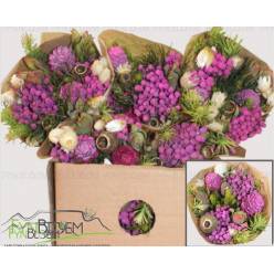 Safari Buquet 50cm 390gr