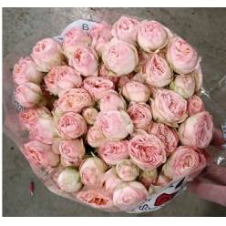 Ramificada Britney 60cm "Premium"