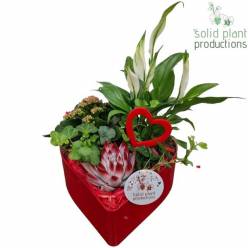 P. Composici�n Valentine Delux Roja 22/30cm "CC3"