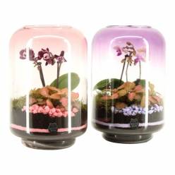 P. Composici�n Lovess 22017  17/25cm  "CC3"