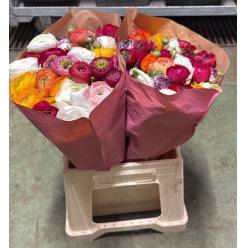 Ranunculos Italia Bouquet Mixto 45cm "T30"