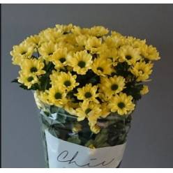 Margarita Hol. Chic Cream 85gr (7 Dias - 2�)