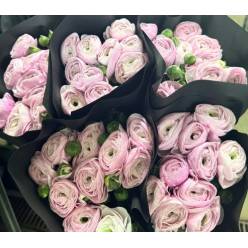 Ranunculos Italia "CLONI SUPER AAA" Mixto 45cm