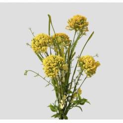 Ramo Allium Artificial Amarillo 53cm
