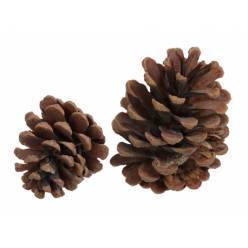 Pi�as Austria Natural 1Kg