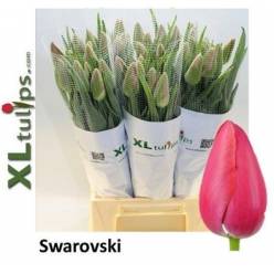 Tulipan Frances Swarovski 60cm Rs.