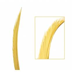 Palma Lisa Monago 150/170cm