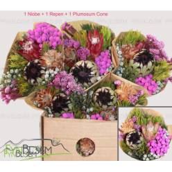 Safari Buquet 50cm 550gr Protea