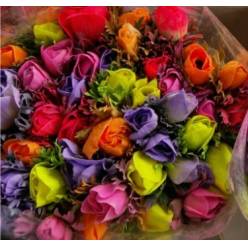 Anemona Italia Polvo Mixta 45cm "AAA"