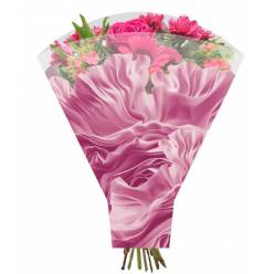 Funda Feline Rosa 50x54Hcm (x50uds)