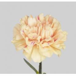 Clavel Col. Fancy Apple Tea "T25"