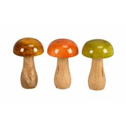 Seta Boletus �8x13Hcm "T9"