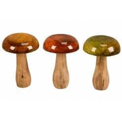 Seta Boletus �10x15Hcm "T6"