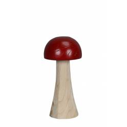 Seta Parolli �19x41Hcm