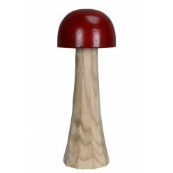 Seta Parolli �24x61Hcm