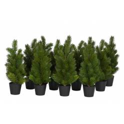 Arbol Spar 13x16x30Hcm "T12"