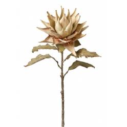 Protea Artificial Beige 75cm
