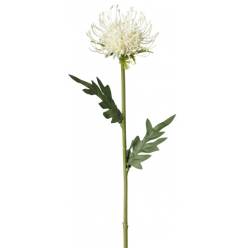 Protea Nutans Artificial Crema 58cm