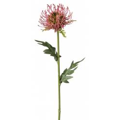 Protea Nutans Artificial Fucsia 58cm