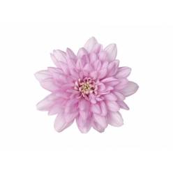 Margarita Nac. Hanami 65gr