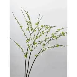 Spirea Gerfshein 65cm