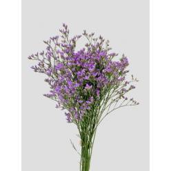Limonium Nac. Chino Azul 70cm Paq. (7 Dias - 2�)