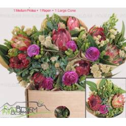 Safari Buquet 40cm 500gr 2-Protea (7 Dias - 2�)