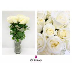 Rosa Hol. Avalanche 60cm A2 (7 Dias - 2�)