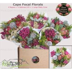 Safari Buquet 40cm 600gr