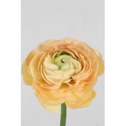 Ranunculos Hol. Su Grand Pastel 40cm 45gr