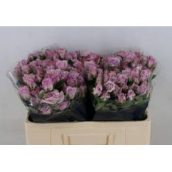 Ramificada Nandi 40cm Lav.