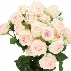 Ramificada Hol. Happy Wedding 50cm