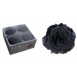 Rosa Preservada Verdissimo 4 Cabezas Premium Negra �6.5/8.5cm