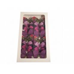 Mariposas Ibon Violeta 6cm "T16"