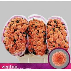 Santini Miller Smokey 1200gr "T25"