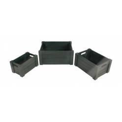Caja Fruts Verde (Set 3uds)