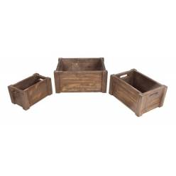 Caja Fruts Natural (Set 3uds)