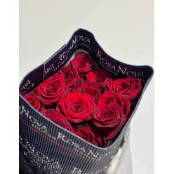 Rosa Ecu. Explorer 80cm Rj "R. Nova" (7 Dias - 2�)