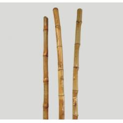 Ca�as Bambu �7x250cm "T3"