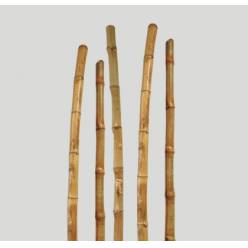 Ca�as Bambu �5x250cm "T5"