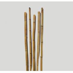 Ca�as Bambu �4x250cm "T5"