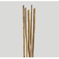 Ca�as Bambu �3x180cm "T5"