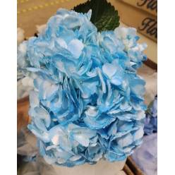 Hortensia Jumbo Tint Light Blue 60cm �19/20