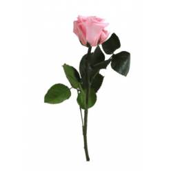 Rosa Preservada Verdissimo Rosa Claro Granel �4x27.5Hcm