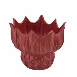 Jarron Evora Rojo �23/23.5x18.5Hcm