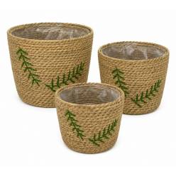 Cesta Dafne (Set 3uds)