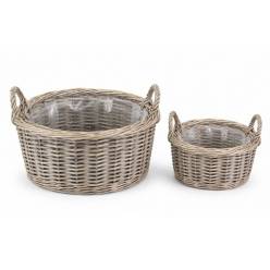 Base Fungia (Set 2uds)