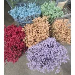 Limonium Nac. Hibrido Tintado Milka 80cm "T25"