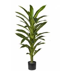 P. Dracena Artificial Verde 120cm
